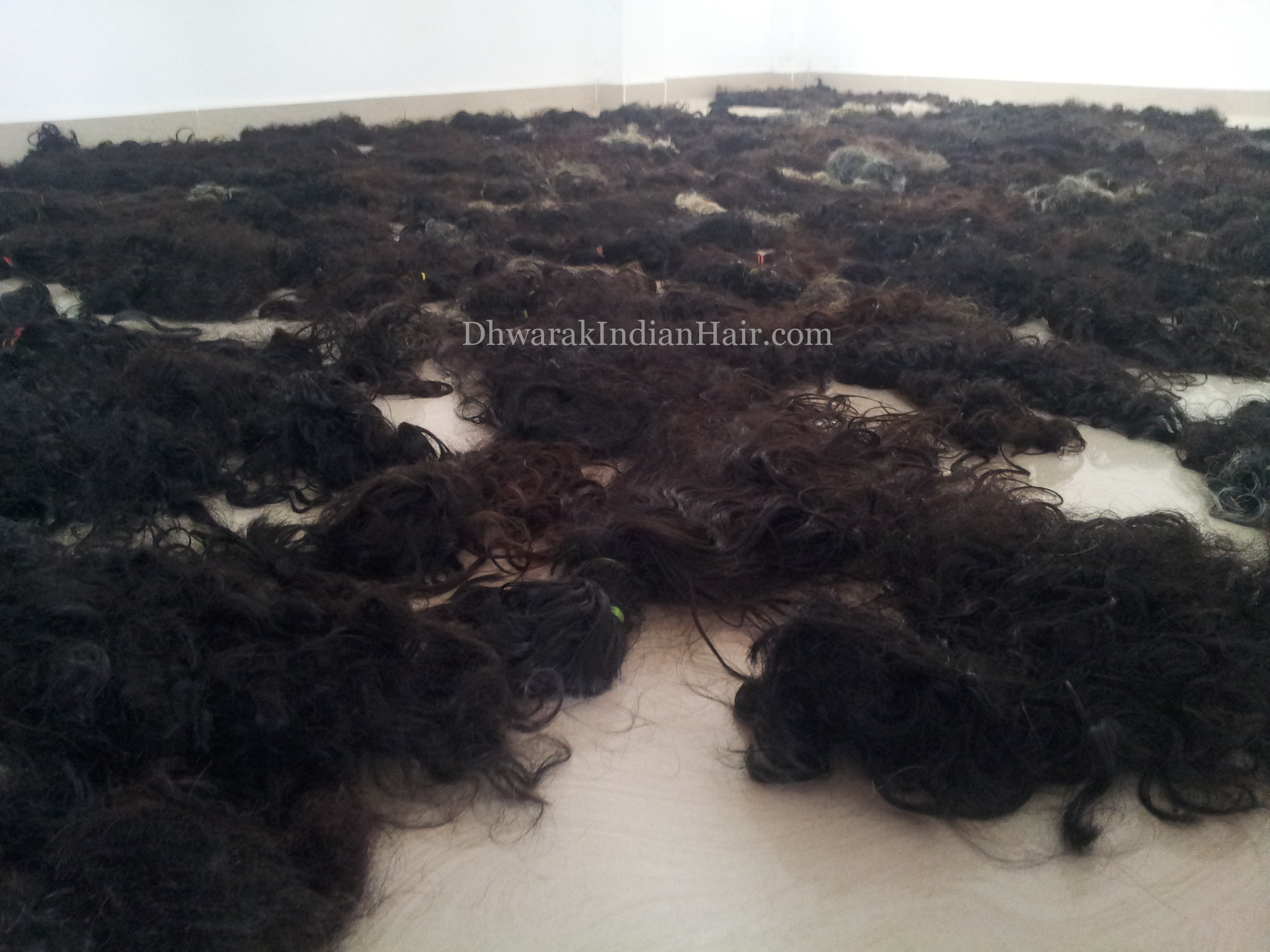 Dhwarak Indian Hair Factory Raw Human Hair Extensions Vendor in India