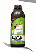 elisyum.png
