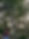IMG_4410.jpeg