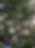 IMG_4410.jpeg