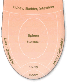 tongue_diagnosis