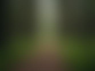 Finding Life Purpose: Uncovering the Purpose of Life