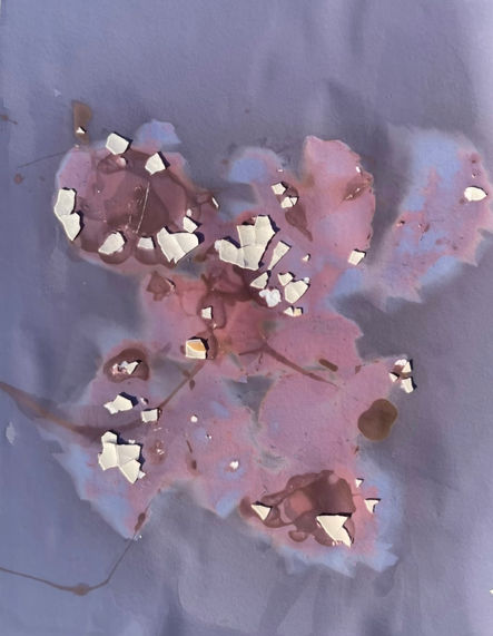 The Fleeting Traces 5, 2024, lumenprint, 7x9.5 inch