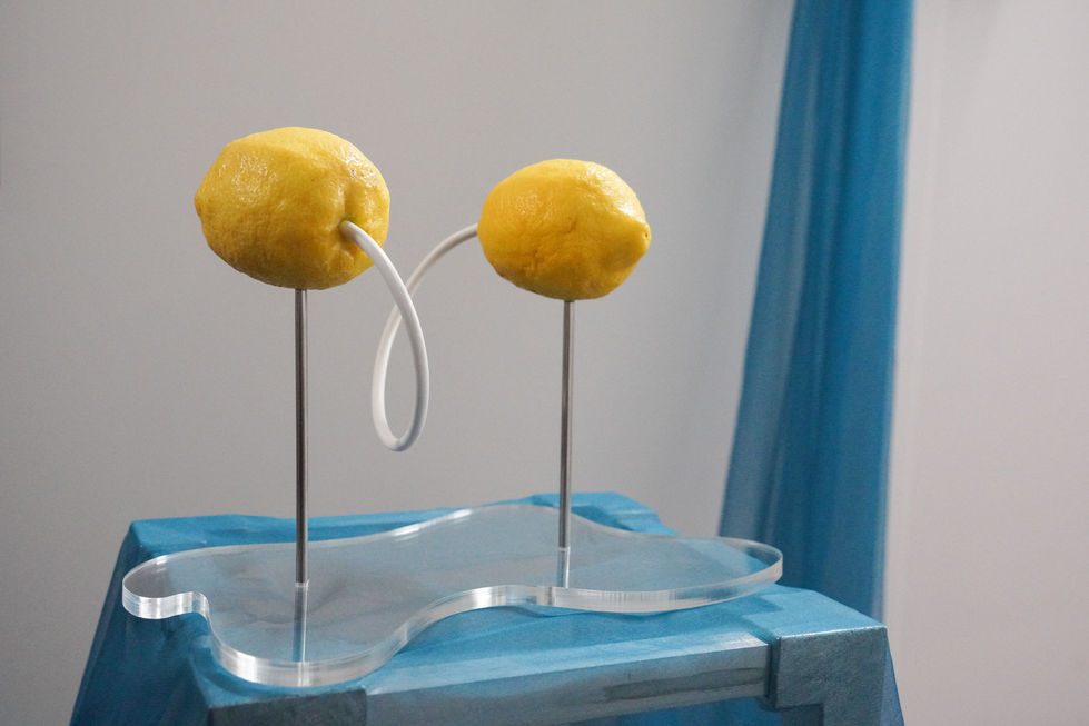 Connection, RCA Degree Show, installation view, 2024