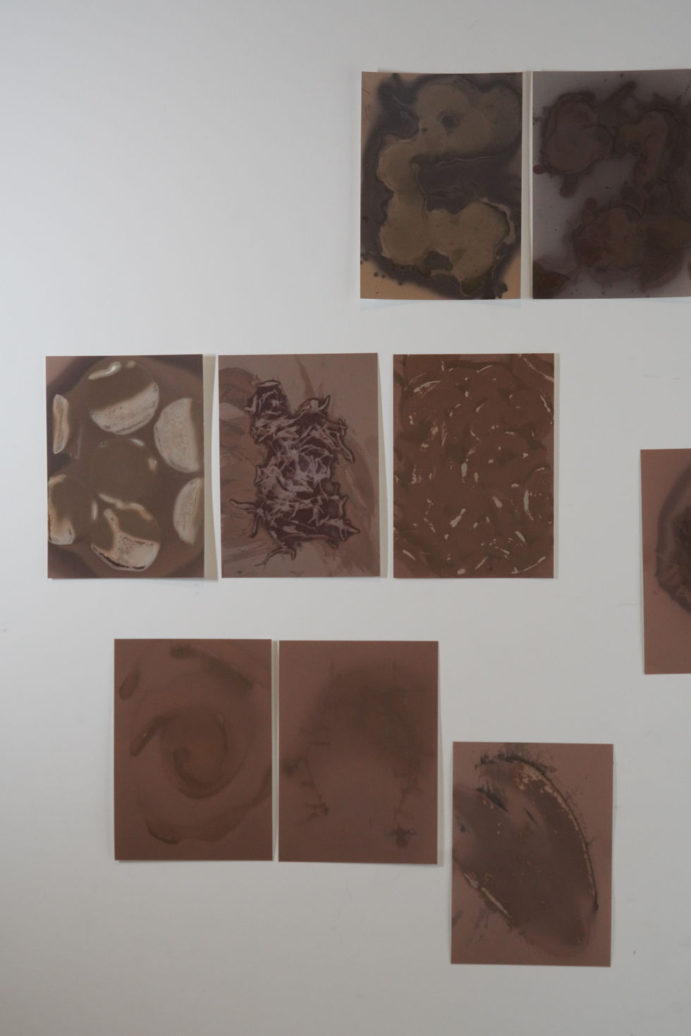 Ephemeral Remains- installation view