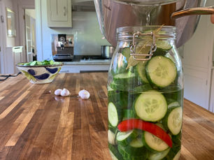 From Starving to Seder-Ready