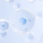 pivot-HP-Pro-OurScience-cell-renew16-desktop-FINAL_4ee3ff62-f7b9-4a07-aee2-761447fbe482_13