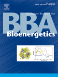 BBA-BIO.gif