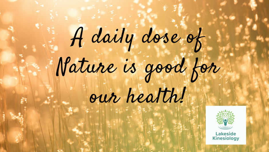A daily dose of nature is good for our health