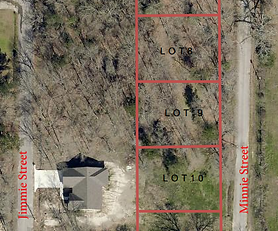 flat buildable lot with road access and nearby utilities