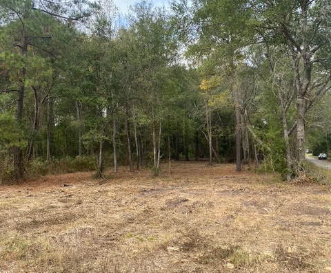 flat buildable land with road frontage and access to utilities