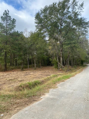 flat buildable land with road frontage and access to utilities