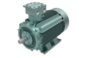 Motor.JPG