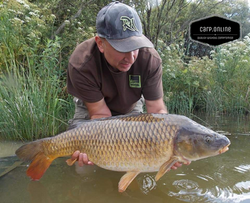 back she goes carptackle online