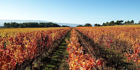 provence-autumn-min.jpeg