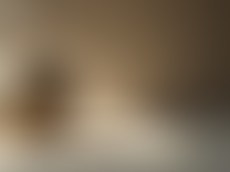 Exploring Ceramics: A Fusion of Art and Craft