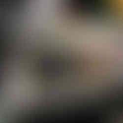 Booth set up for Hardrocks by Sarah