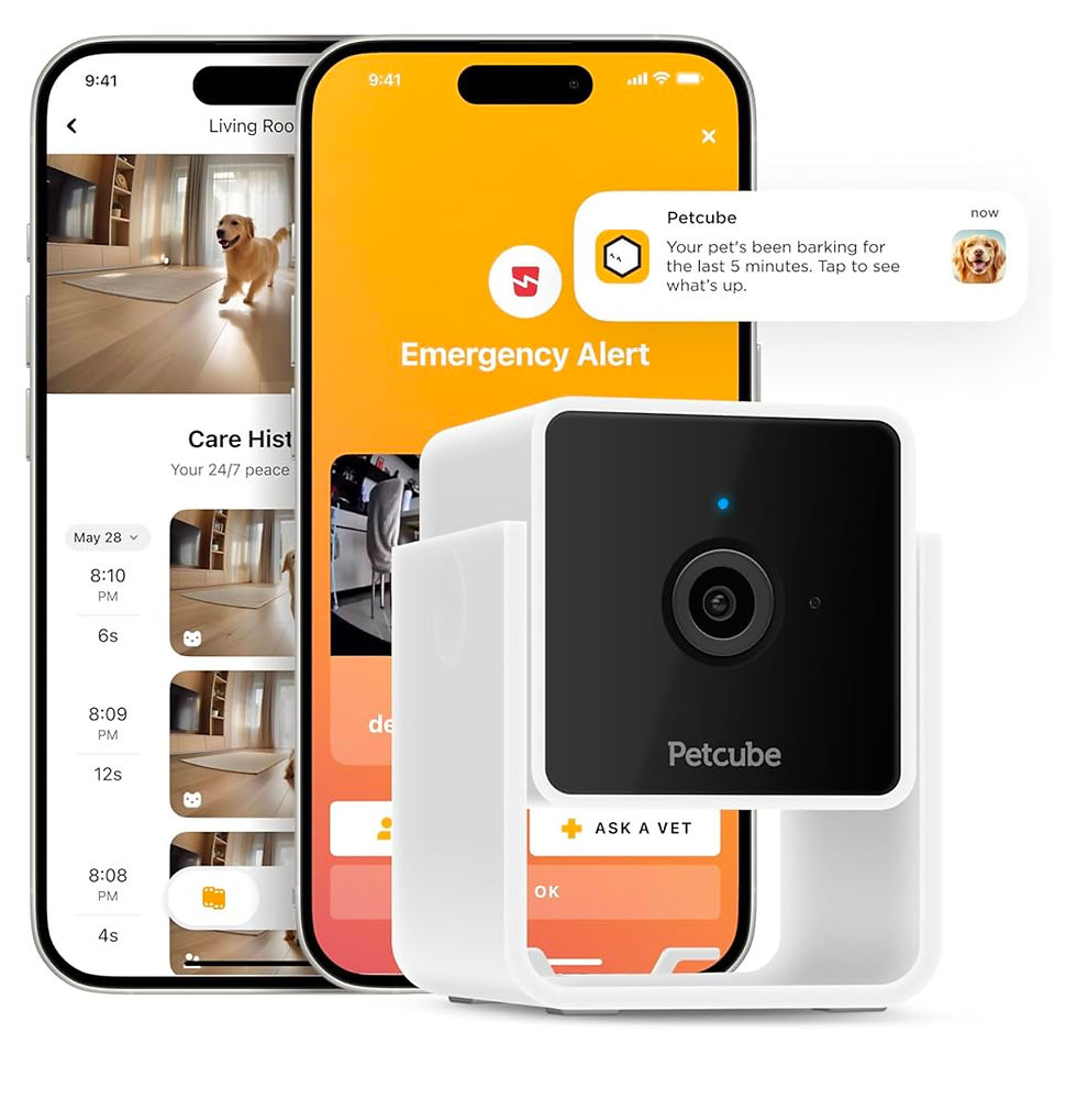 pet camera