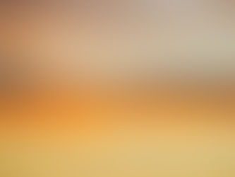 Rich Sunset