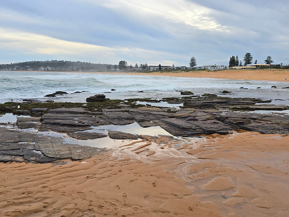 Narrabeen beach