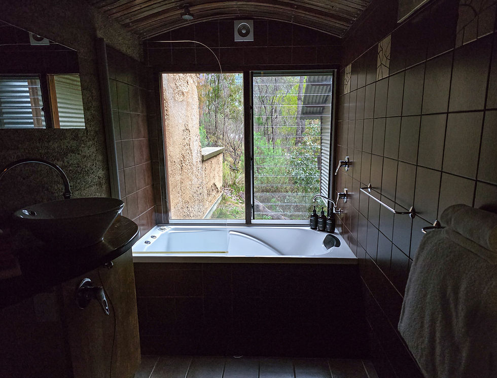 Spa bath with bush view