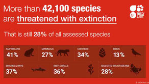 Over 42,100 Species at Risk of Extinction
