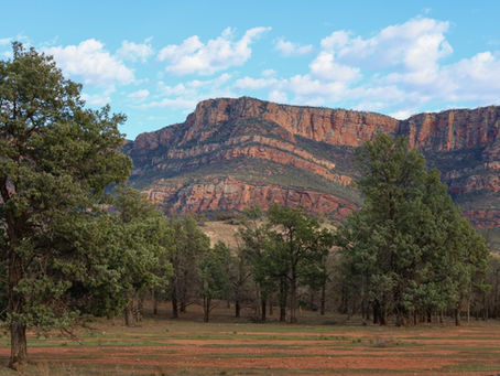 The Flinders Ranges