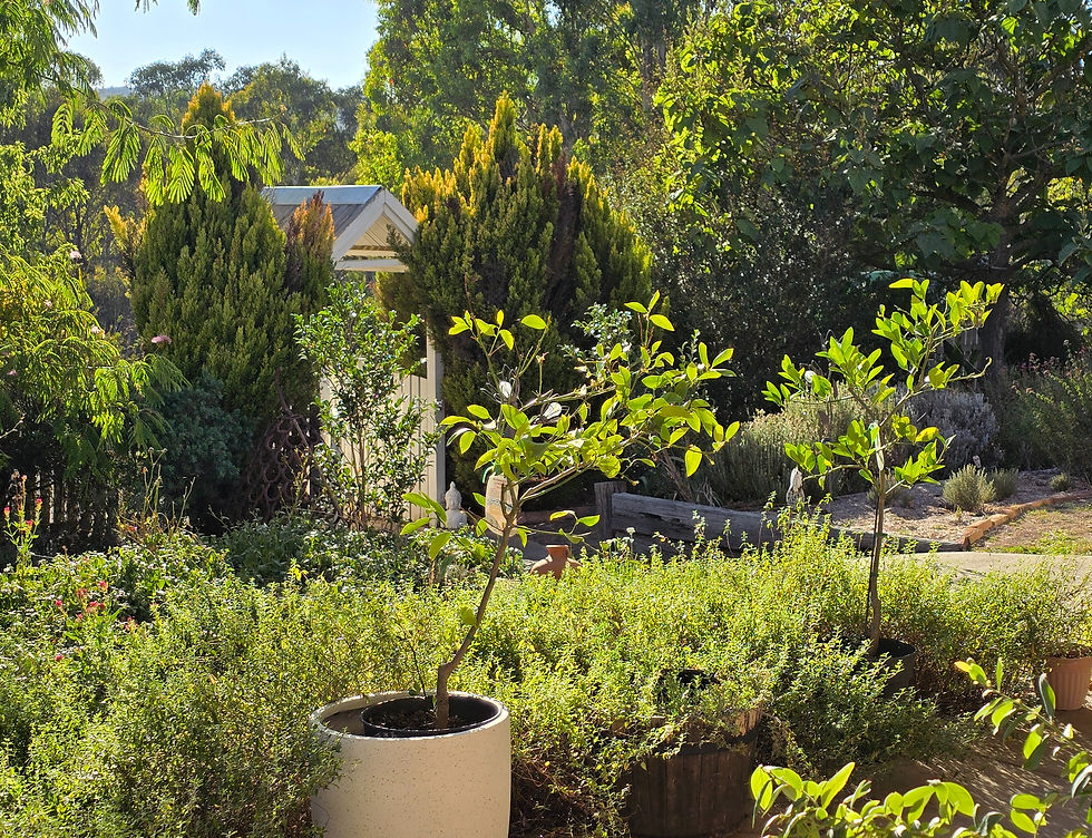 Garden at Heartspace Retreat