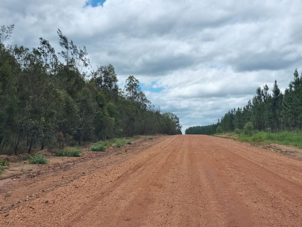 Dirt Road in Queensland