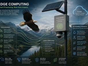 Edge Computing for Conservation
