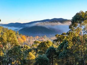 View of the Valley near Bright Victoria