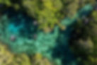 Crystal River view from above
