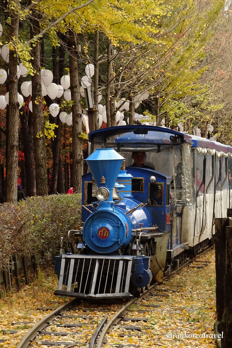 Thumbnail: 【首爾出發】南怡島 一天團 C * Nami Island One day tour C