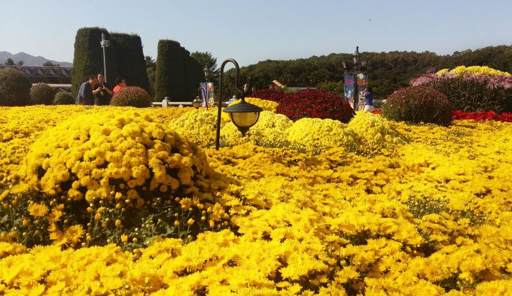 Thumbnail: 【首爾出發】龍仁市一天團 A * Yongin One day Tour A
