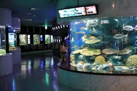Thumbnail: 【門票購買】63 大樓展望台+ 水族館 * 63 Building(Sky Art) + Aqua Planet