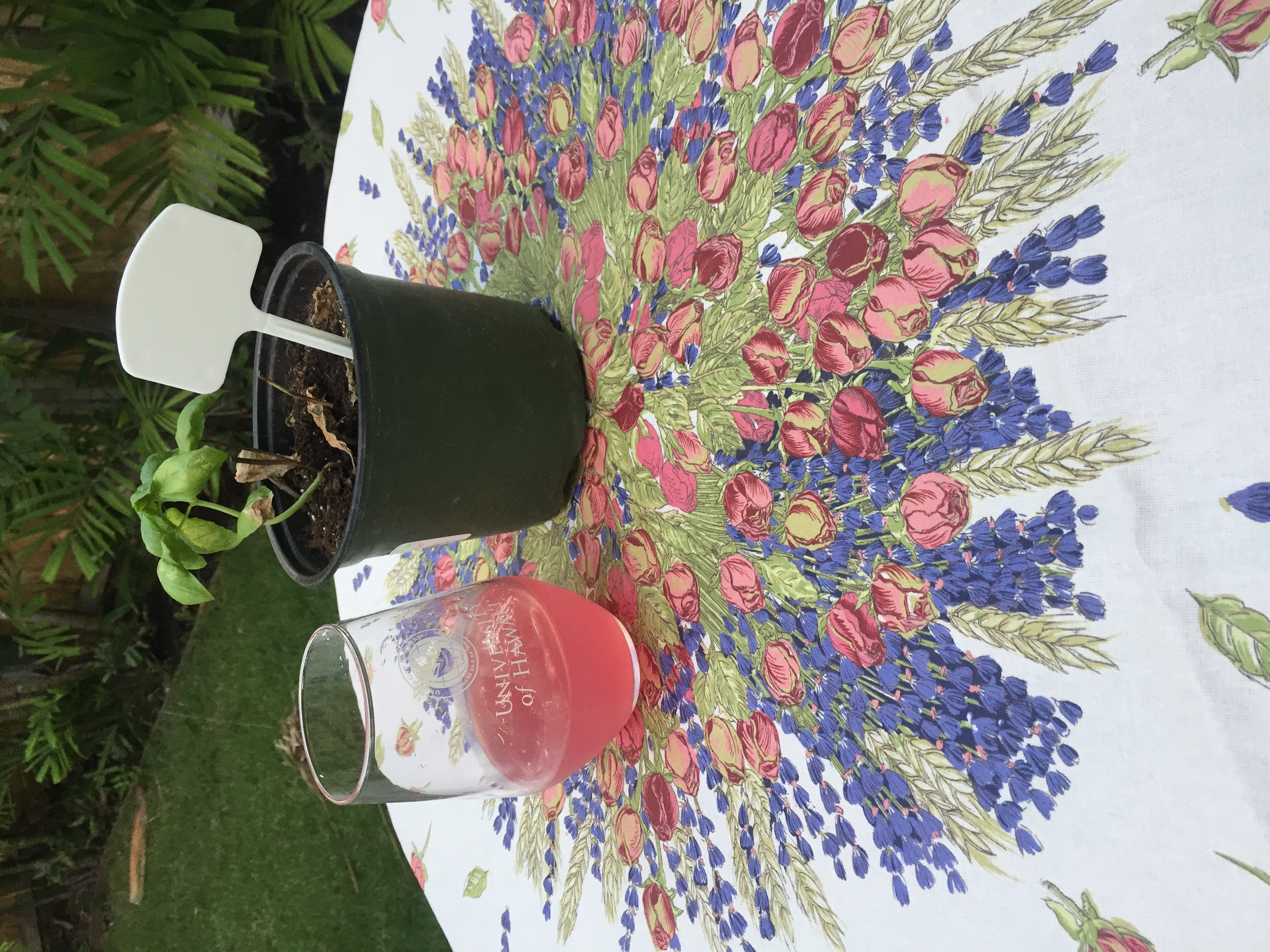 Roses & Lavender Coated Cotton Tablecloths