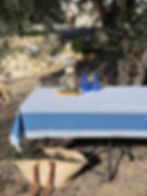 Sormiou Blue Coated Cotton Tablecloth
