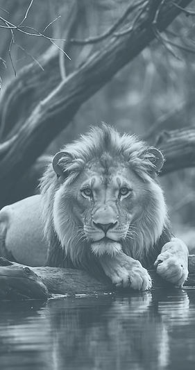 Lion by Water_edited.jpg