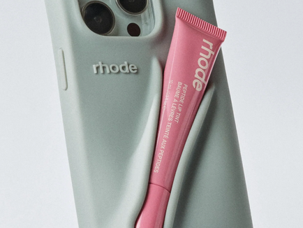 The Phone Case That Broke the Internet