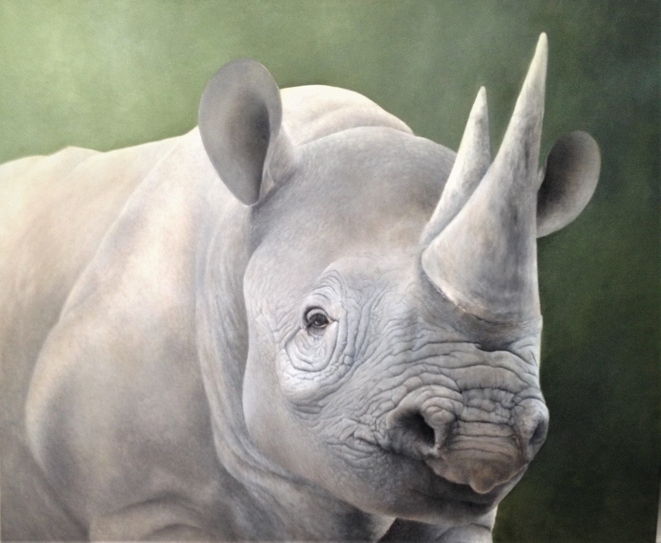 Black Rhino