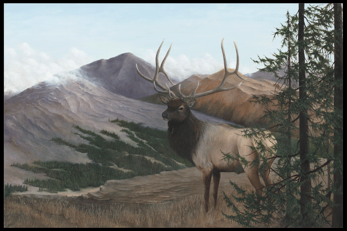 "Elk on the Mountain"