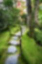 jardin zen.jpg