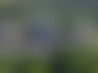 Klinik-Nutte in Bad Salzuflen