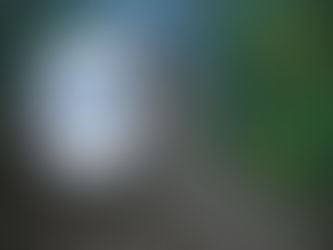 Sex im ICE - 9. und 11. Februar 2026