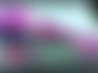 Nackt und benutzbar im Novum Münster