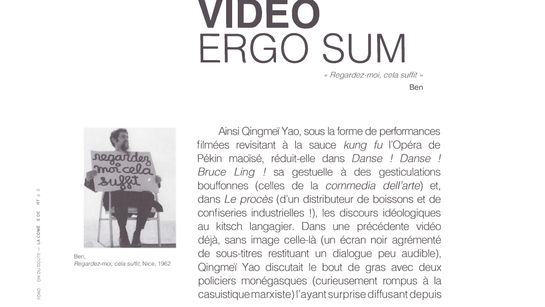 La Comédie de l’art, Fondation du Doute, par Arnaud Labelle-Rojoux, 2014