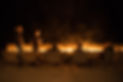 Copy of Tactivate_HALO_G9_2015_90_9344 copy.jpg