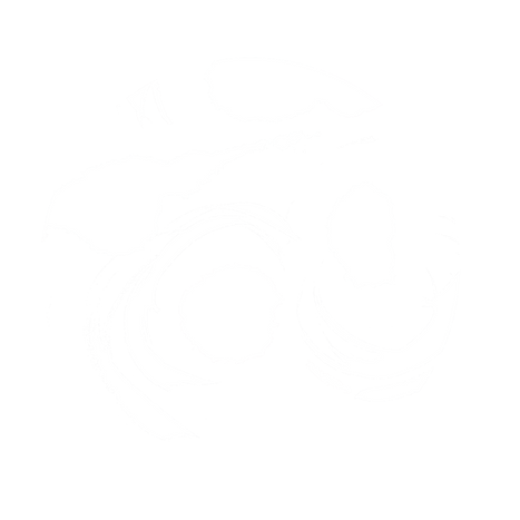 tache encre.png