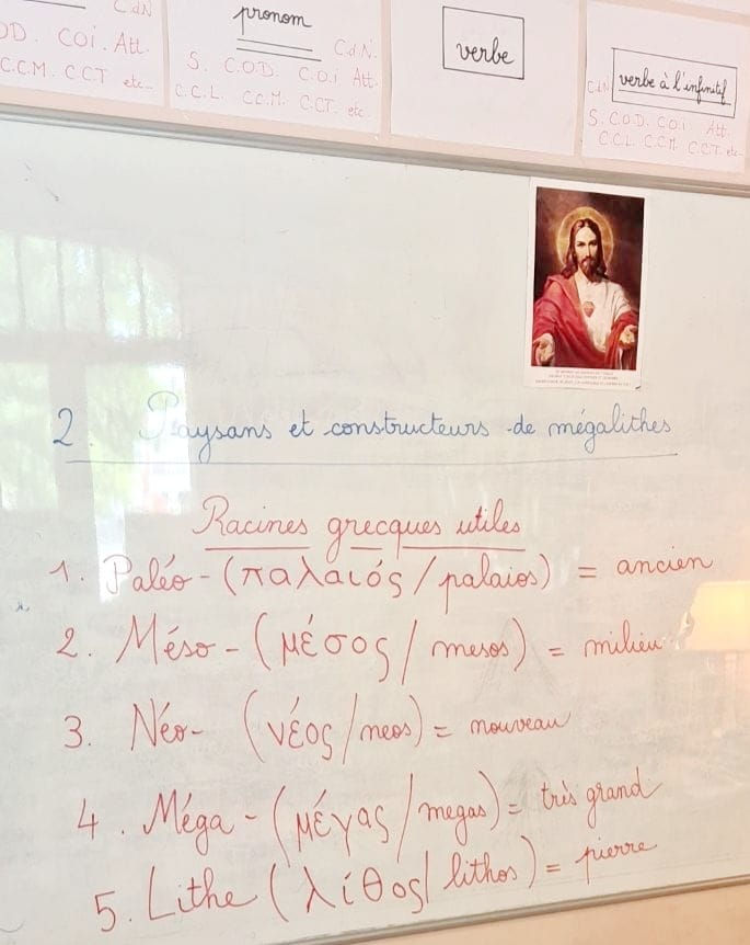 À la découverte des racines grecques : une clé pour comprendre le vocabulaire