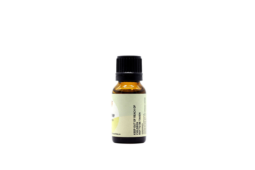 縮圖：茶樹精油 Tea Tree Oil